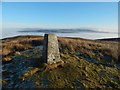 NS3680 : Bromley Muir Trig Point by Lairich Rig