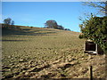 SU1974 : Coombe Down from the Ridgeway by Vieve Forward