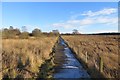 NO4721 : Boardwalk, Fife Coastal Path by Richard Webb