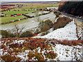 SE8494 : Saltergate Moor by Scott Robinson