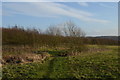 SJ8047 : Silverdale Country Park: path on Waste Farm by Jonathan Hutchins