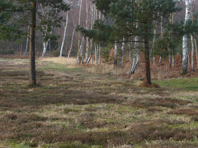 Hook Heath Golf Course