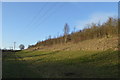 SJ8047 : Silverdale Country Park: Little Sherriffe Wood by Jonathan Hutchins