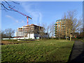 TQ4175 : Kidbrooke Village: development in progress by Stephen Craven