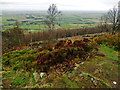 SE4599 : Swinestye Hill Viewpoint by Scott Robinson