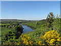 NZ1064 : View of the River Tyne from Wylam Scar by Andrew Tryon