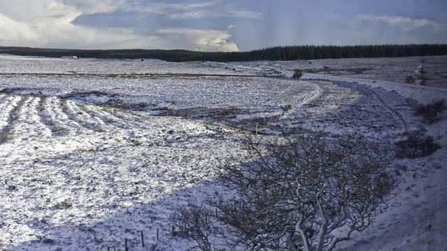 Far North Line near Altnabreac