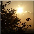 SJ9196 : Sunlight on Audenshaw Reservoirs by Gerald England