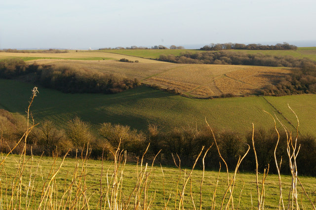 Well Bottom from the South Downs Way