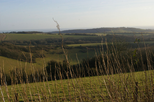 Looking along Well Bottom from the South Downs Way