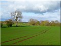 NY3943 : Farmland, Dalston by Andrew Smith