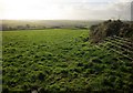 SX1668 : Farmland north of Fawton by Derek Harper