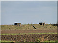 TF3941 : A pair of hexagonal WW2 pillboxes guarding Freiston Shore by Adrian S Pye