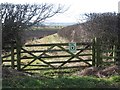 NU1733 : Partially overgrown field gateway, west of Burton by Graham Robson