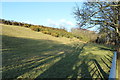 NX0982 : Farmland with Gorse Bushes by Billy McCrorie