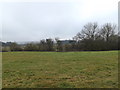 TL6003 : Farmland at Norton Heath Equestrian Centre by Geographer