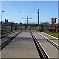 SK5036 : Tram Tracks from the Inham Road stop by David Lally