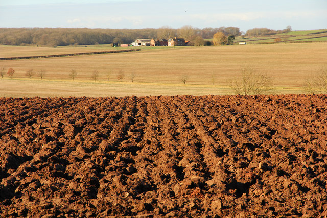 Freshly ploughed