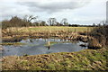 SJ4152 : Pond near Holt by Jeff Buck