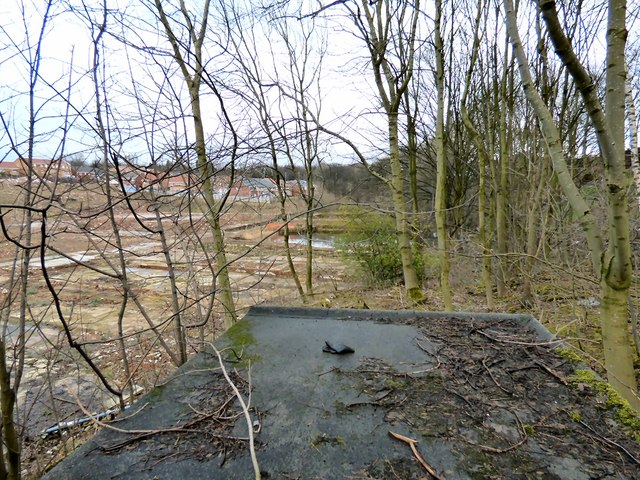 Mill pond at former Carrfield Mill