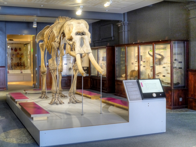 Manchester Museum - The Manchester Gallery