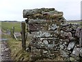 NR3445 : Former gatepost near Cornabus, Islay by Becky Williamson