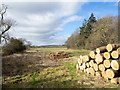 NZ1722 : Timber stacks beside Trunnelmire Plantation by Trevor Littlewood