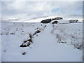 SD7992 : The Pennine Bridleway in Wensleydale by Christine Johnstone