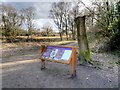 SJ8381 : Entrance to Lindow Common by David Dixon