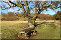 NX6181 : Seat beside the Southern Upland Way by Billy McCrorie