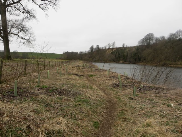 Path beside the River Tweed