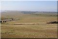 TV5895 : Downland viewed from Beachy Head by Philip Halling