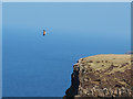 NG2364 : Sea Eagle above the Waternish cliffs by John Allan