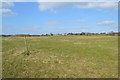 SJ8147 : Silverdale Country Park: Waste Farm Meadows by Jonathan Hutchins