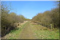 SJ8147 : Silverdale Country Park: track through Miners Retreat Wood by Jonathan Hutchins