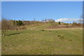 SJ8147 : Silverdale Country Park: grassy slope by Jonathan Hutchins