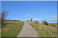 SJ8147 : Silverdale Country Park: NW slope of the Void by Jonathan Hutchins