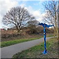 SJ9493 : Trans Pennine Trail near Foxholes by Gerald England