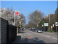 TQ4076 : Stratheden Road on a spring day by Stephen Craven