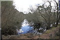 NJ2867 : Small Loch near the Moray Coastal Trail by Alan Hodgson