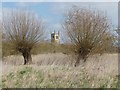 SU8346 : Bishop's Meadow, Farnham by Alan Hunt