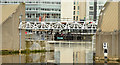 J3474 : New Lagan weir footbridge, Belfast - April 2015(2) by Albert Bridge