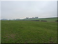 SP5081 : Ridge and furrow fields at Cestersover by Richard Law