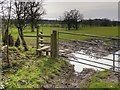 SJ9080 : Gate and Stile on Path from Gibson Wood, Adlington Estate by David Dixon