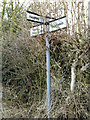 TM0661 : Roadsign on Sandford Road by Geographer