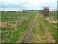 NZ3962 : Footpath near Whitburn by Malc McDonald