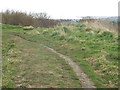 NZ3962 : Footpath near Cleadon by Malc McDonald