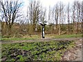 SJ9694 : Sustrans Milepost at Godley by Gerald England