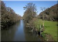 SX3680 : River Tamar at Greystone Bridge by Derek Harper