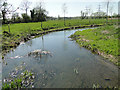 TM3758 : The River Alde at Langham Bridge by Adrian S Pye